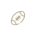 Popularizace rugby 